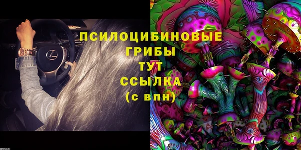 твердый Каменка