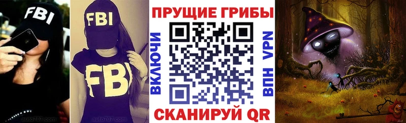 Псилоцибиновые грибы мицелий  Купить  Дорогобуж 