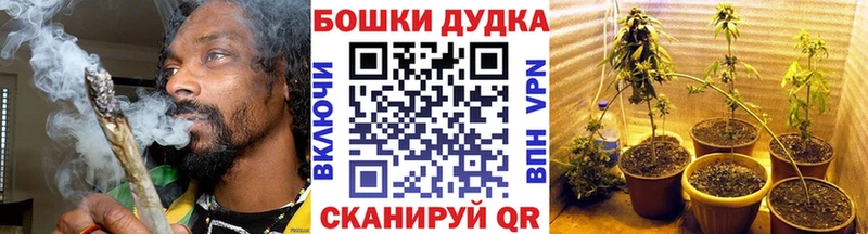 Конопля SATIVA & INDICA  Купить закладки  Дорогобуж 
